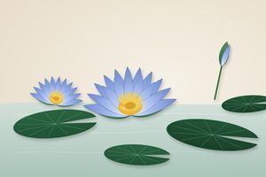 Блакитний лотос (Nymphaea caerulea): квітка Нілу, склад і дія