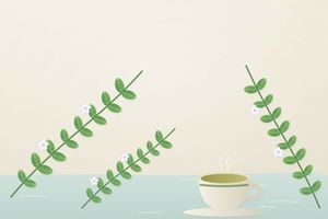 Брахмі (Bacopa monnieri): трава тропічних берегів, традиція, дія і дослідження