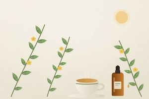 Даміана (Turnera diffusa): кущ Мексики, листя, традиція, дія і дослідження