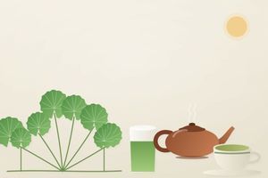 Готу кола (Centella asiatica): листя Азії, традиція, дія і дослідження