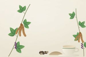 Мукуна пекуча (Mucuna pruriens): насіння, традиція, дія і дослідження