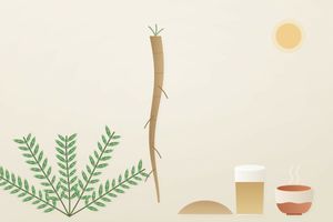 Тонгкат алі (Eurycoma longifolia): корінь Малайзії, традиція, дія і дослідження