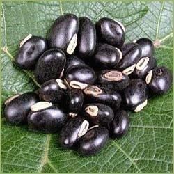 Мукуна пекуча (Mucuna pruriens), молоте насіння &mdash; 50 г